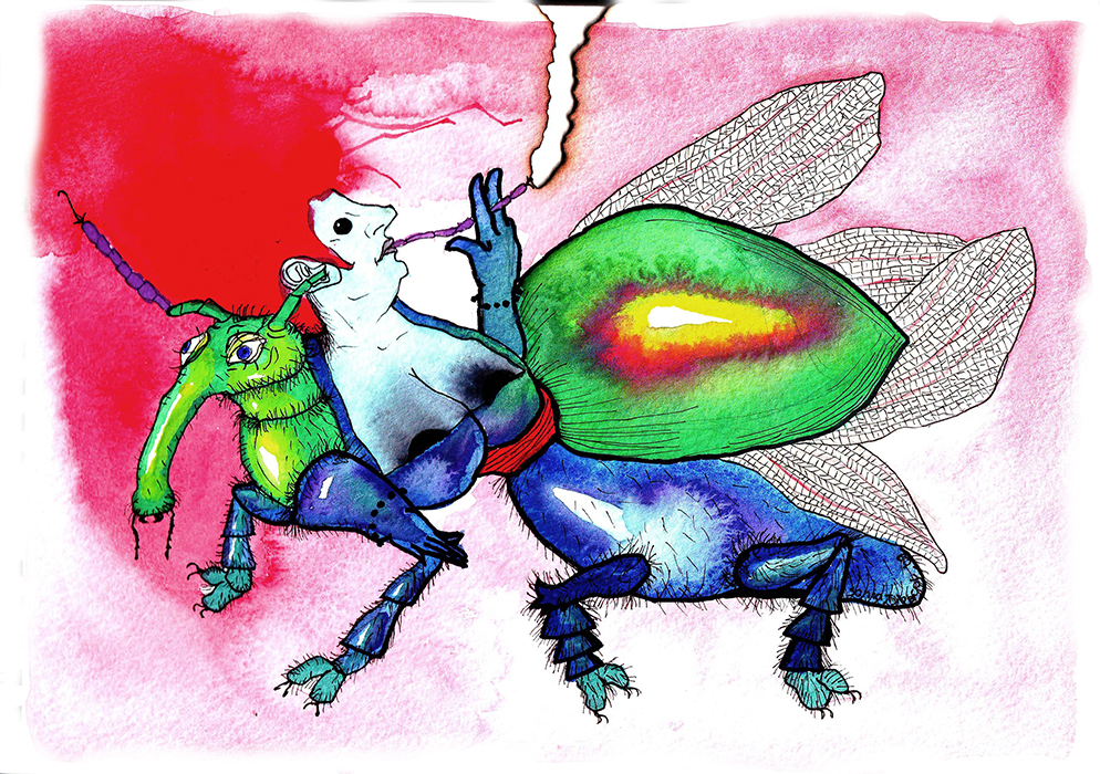Beetle lady