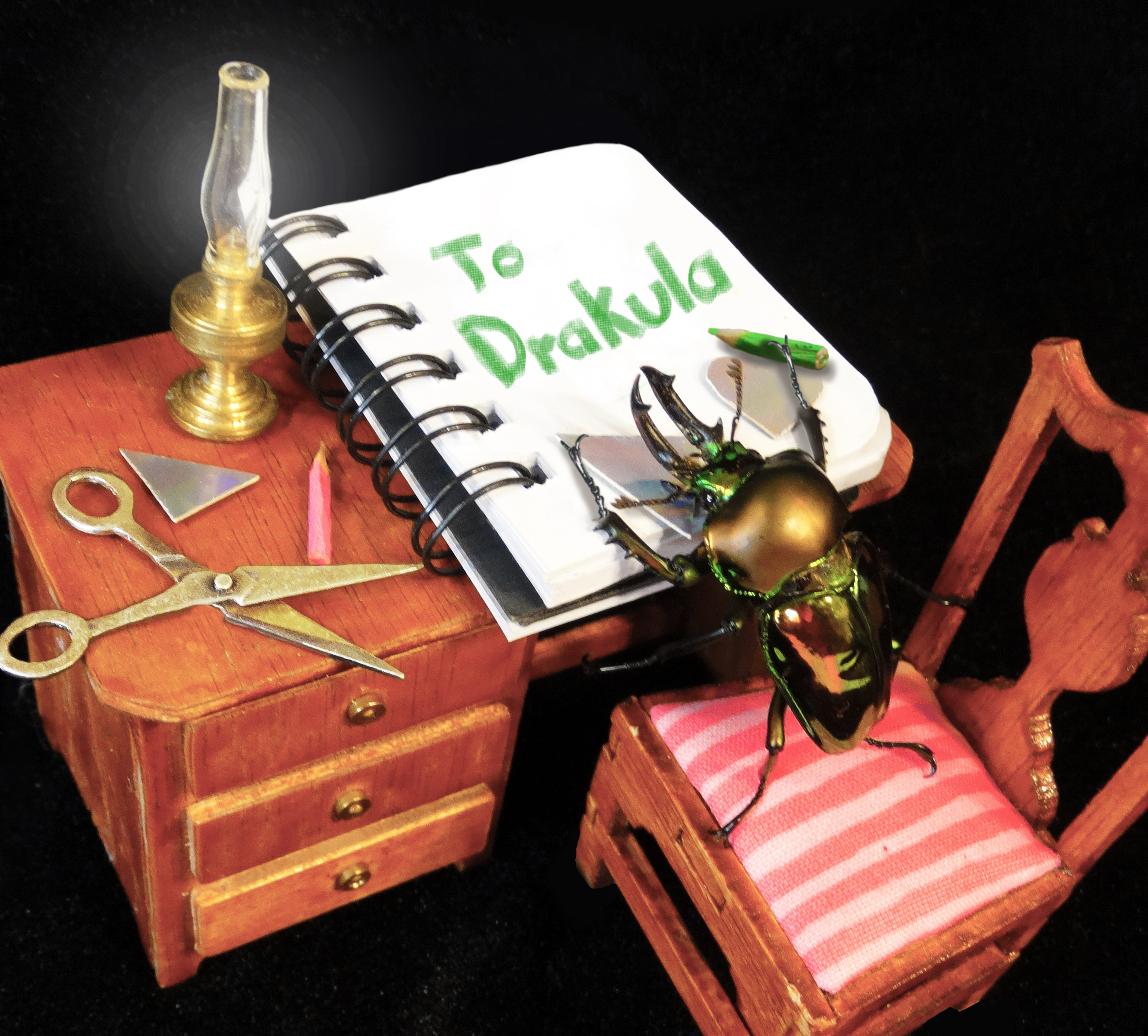 Beetle illustration