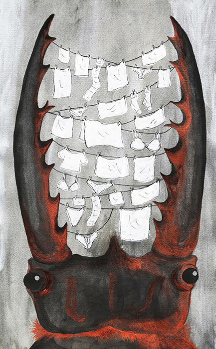 Stag beetle laundry