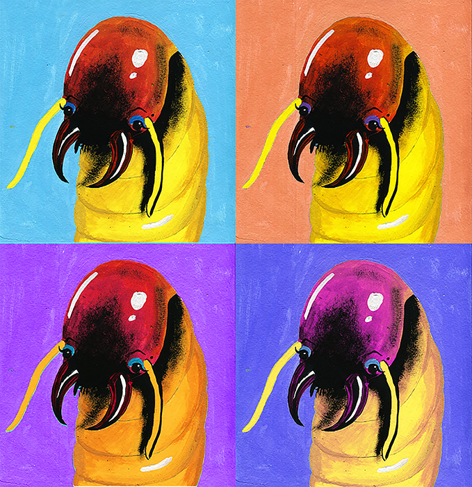 termite monroe