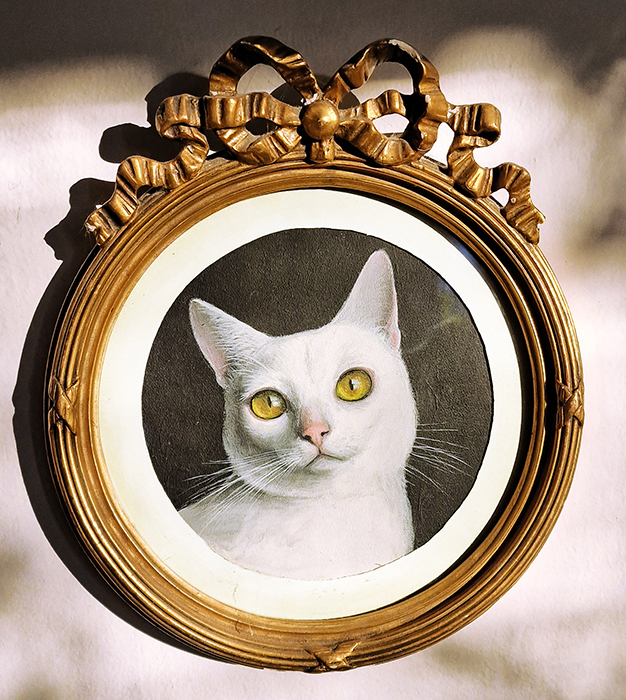 Tofu white cat pet portrait by Drakula Approved