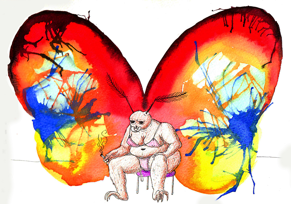 Unhappy butterfly